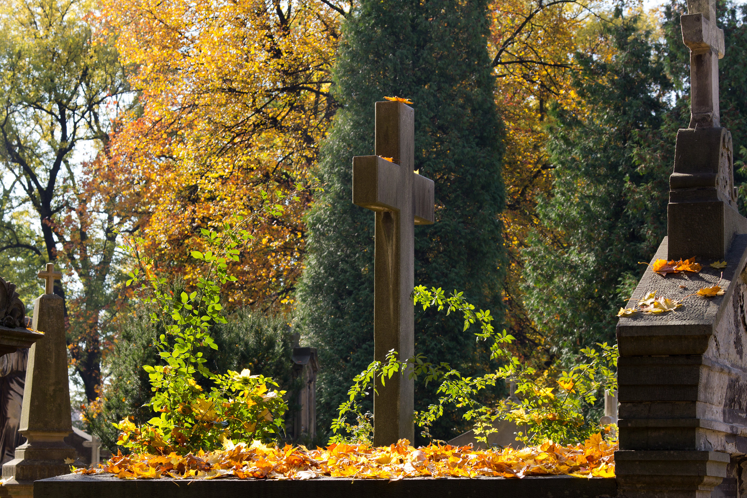 Estumulazione ordinaria presso il cimitero di Casalmaggiore